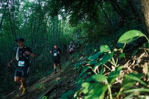 BIB: 
                            <button type="button" onclick="openModal(28124447)" class="btn btn-primary btn-sm float-right btn-popup" data-toggle="modal" data-target=".modal-high-quality">
                        <i class="fas fa-shopping-cart"></i> Add to Cart
                    </button>
                                            <button type="button" onclick="isThisMe(28124447, true)" class="btn btn-success btn-sm float-right btn-popup btn-isme hidden" data-toggle="tooltip" data-placement="bottom" title="นี่คือรูปของคุณใช่ไหม คลิกที่นี่เพื่อเอาเข้าอัลบั้ม">
                        <i class="fas fa-plus"></i> Add to album
                    </button>
                    <button type="button" onclick="isThisMe(28124447, false)" class="btn btn-warning btn-sm float-right btn-popup btn-isnotme hidden">
                        <i class="fas fa-ban"></i> Remove from album
                    </button>